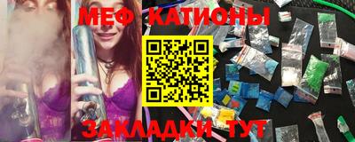 стафф Гатчина