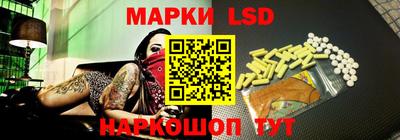 стафф Гатчина