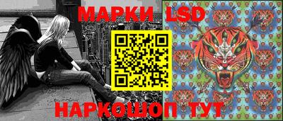 стафф Гатчина