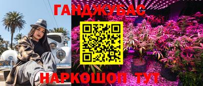 дживик Гагарин