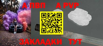 стафф Гатчина