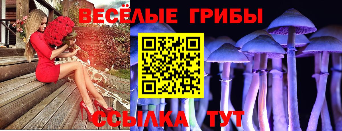 Надым  Псилоцибиновые грибы Magic Shrooms  Вход с VPN 